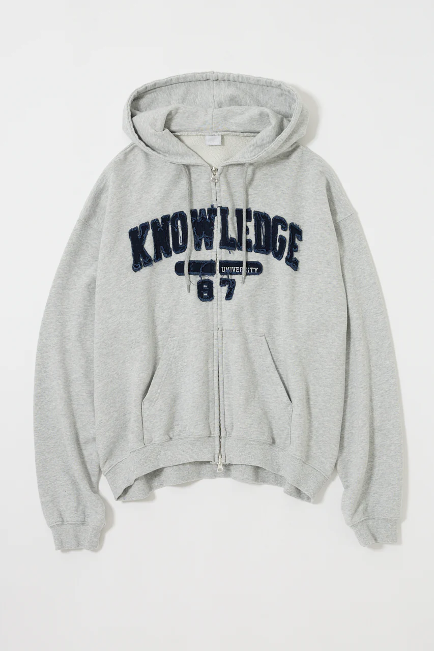 COLLEGIATE ZIP HOODIE
