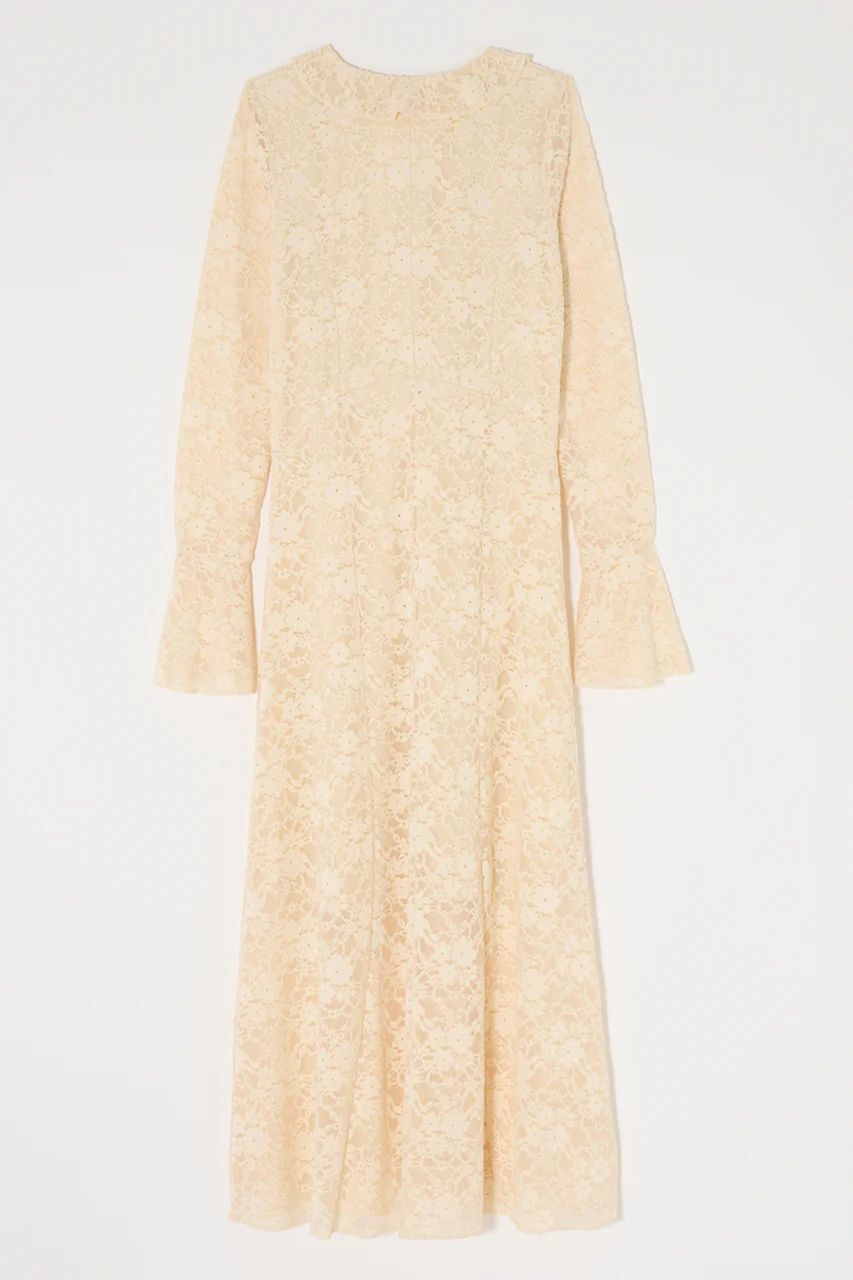 FLOCKY LACE DRESS - Image 4